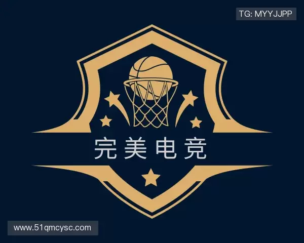 关于完美电竞